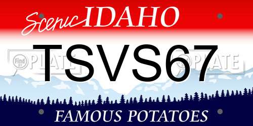 TSVS67 Idaho License Plate