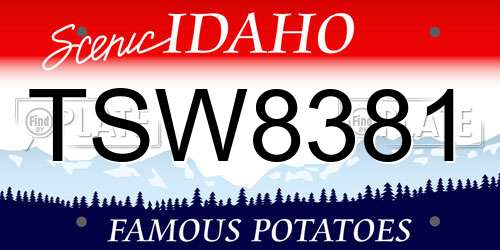 TSW8381 Idaho License Plate