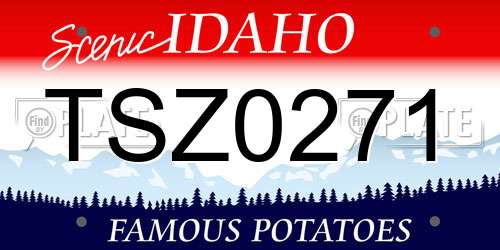 TSZ0271 Idaho License Plate