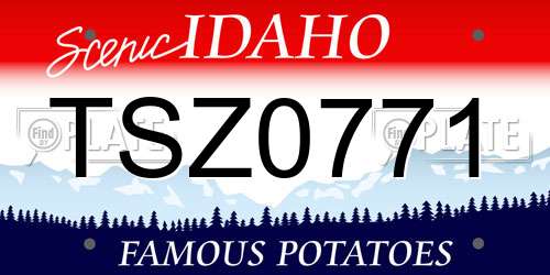TSZ0771 Idaho License Plate