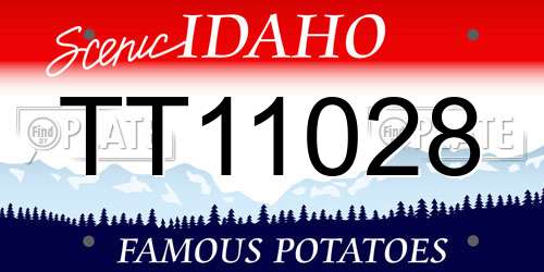 TT11028 Idaho License Plate