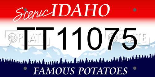 TT11075 Idaho License Plate