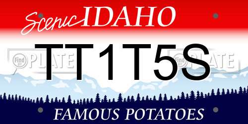 TT1T5S Idaho License Plate