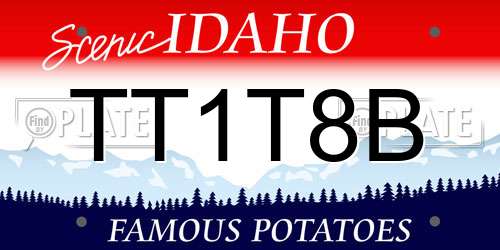 TT1T8B Idaho License Plate