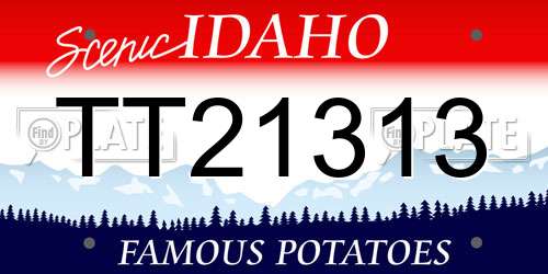 TT21313 Idaho License Plate