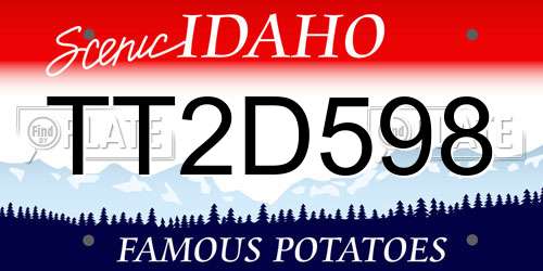 TT2D598 Idaho License Plate