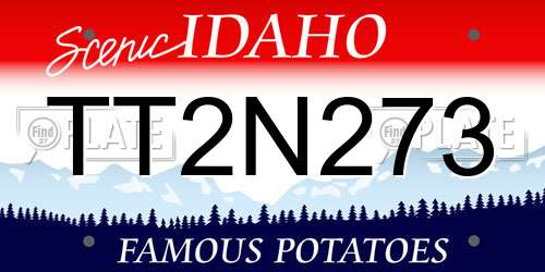 TT2N273 Idaho License Plate