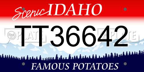 TT36642 Idaho License Plate