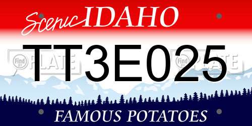 TT3E025 Idaho License Plate