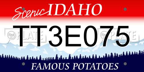 TT3E075 Idaho License Plate