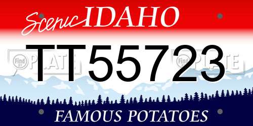 TT55723 Idaho License Plate
