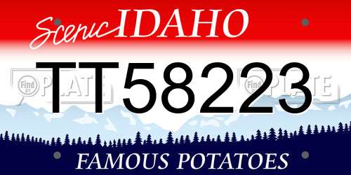 TT58223 Idaho License Plate