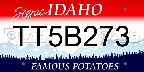 TT5B273 Idaho License Plate