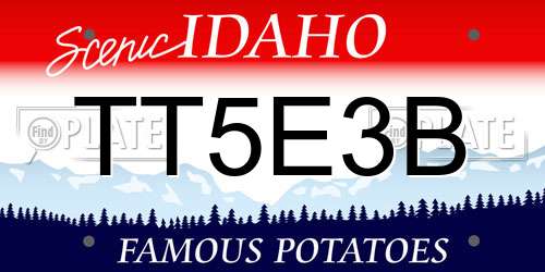 TT5E3B Idaho License Plate