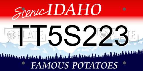 TT5S223 Idaho License Plate