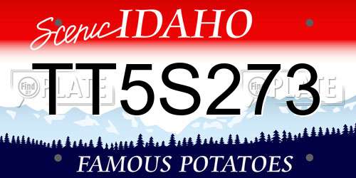 TT5S273 Idaho License Plate