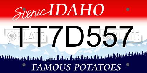 TT7D557 Idaho License Plate