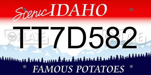 TT7D582 Idaho License Plate