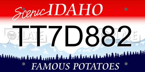 TT7D882 Idaho License Plate