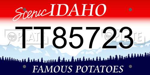 TT85723 Idaho License Plate