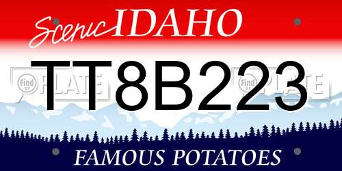 TT8B223 Idaho License Plate