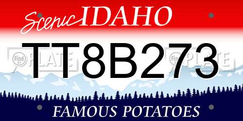 TT8B273 Idaho License Plate