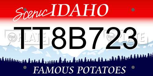TT8B723 Idaho License Plate