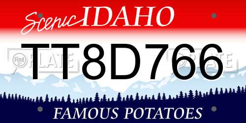 TT8D766 Idaho License Plate