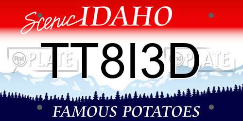 TT8I3D Idaho License Plate