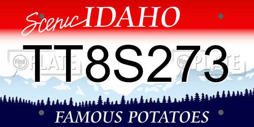 TT8S273 Idaho License Plate