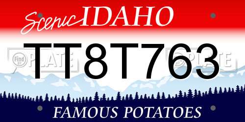 TT8T763 Idaho License Plate