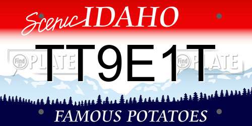 TT9E1T Idaho License Plate
