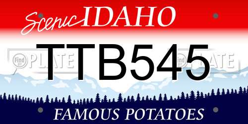 TTB545 Idaho License Plate