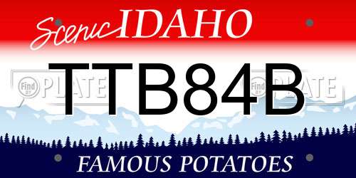 TTB84B Idaho License Plate