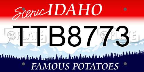 TTB8773 Idaho License Plate