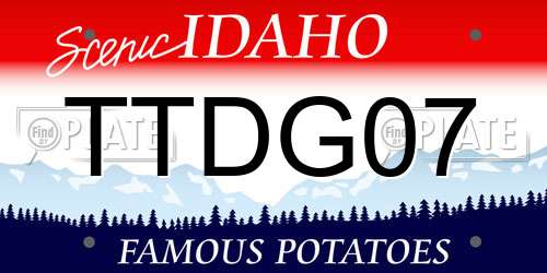 TTDG07 Idaho License Plate