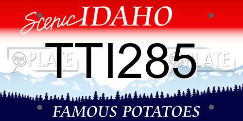 TTI285 Idaho License Plate