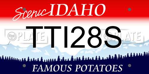 TTI28S Idaho License Plate