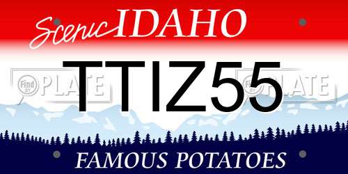 TTIZ55 Idaho License Plate