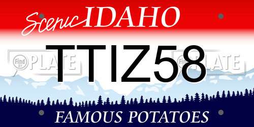 TTIZ58 Idaho License Plate