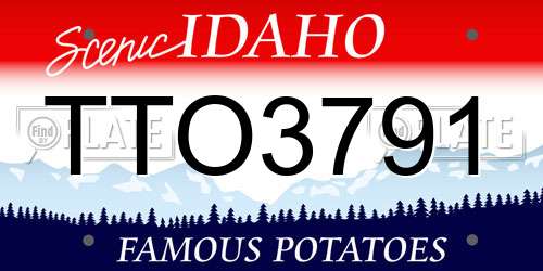 TTO3791 Idaho License Plate