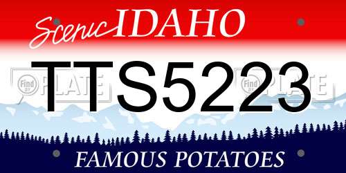 TTS5223 Idaho License Plate