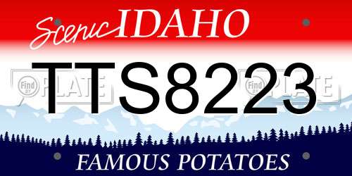 TTS8223 Idaho License Plate