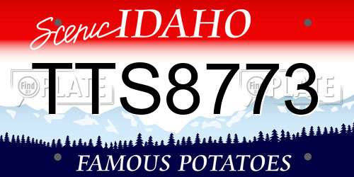TTS8773 Idaho License Plate