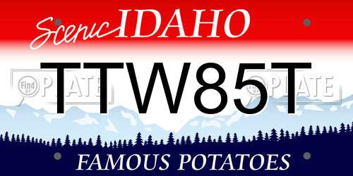TTW85T Idaho License Plate