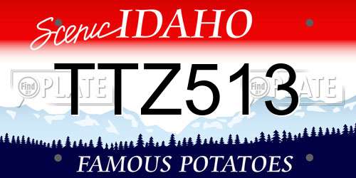 TTZ513 Idaho License Plate