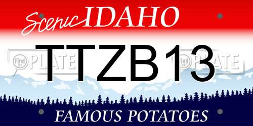 TTZB13 Idaho License Plate