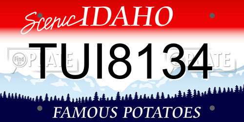 TUI8134 Idaho License Plate