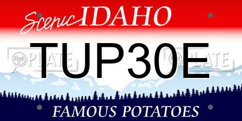 TUP30E Idaho License Plate