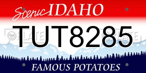 TUT8285 Idaho License Plate
